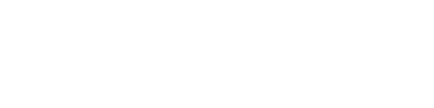 MAX Logo (iridescent)